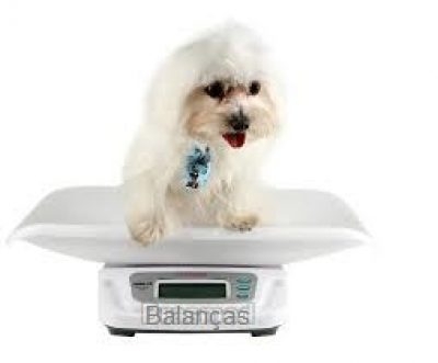 Balança Pet Shop 30 Kg - Balança Veterinária Filhotes