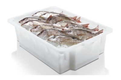 Caixa Plástica Branco Virgem 45 Litros – Caixa para Alimentos
